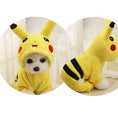 Load image into Gallery viewer, Pet Halloween costume - Pikachu
