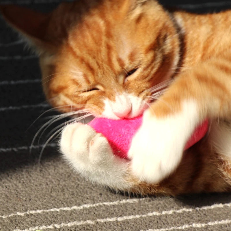 Teeth Grinding Catnip Toy