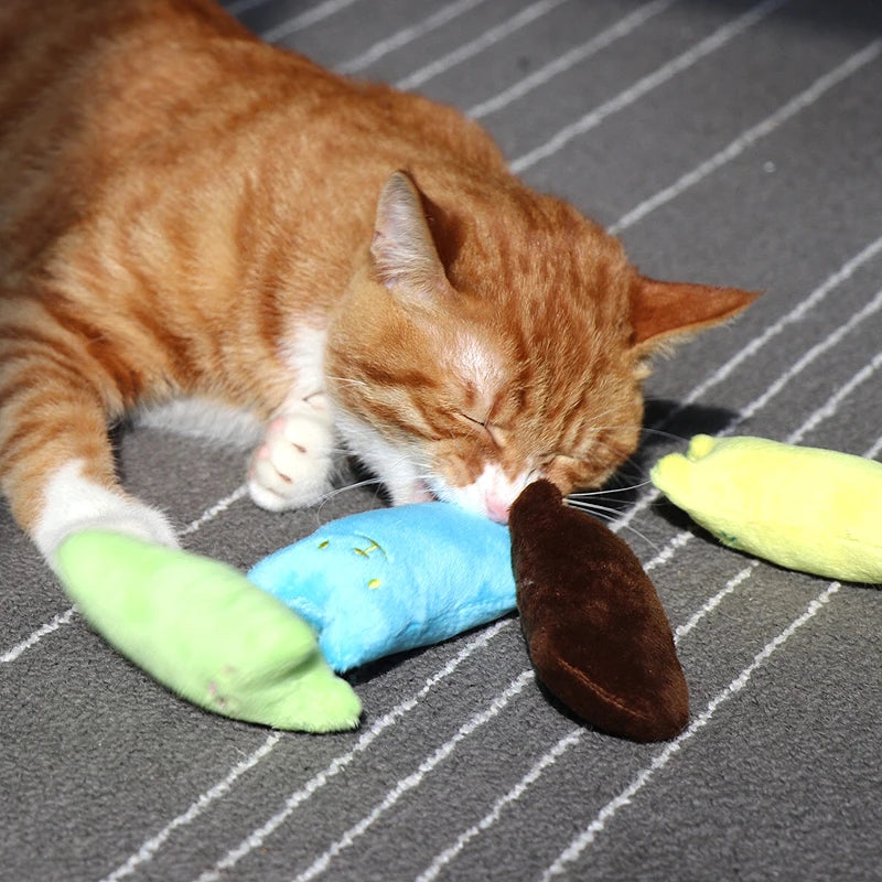 Teeth Grinding Catnip Toy