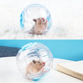 Load image into Gallery viewer, Plastic Outdoor Sport Ball - Small Pet Jogging Ball Toy
