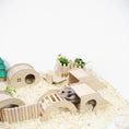 Load image into Gallery viewer, Hamster, Guinea Pig, Hedgehog, & Other Small Pets Wooden Step Bridge Toy
