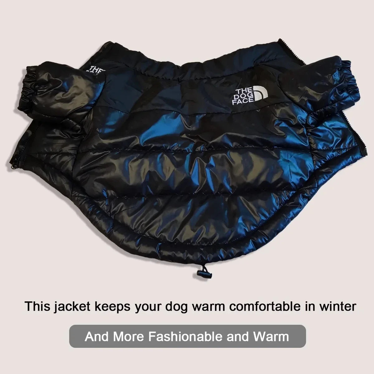 Winter Dog Clothes - Windproof Jacket Outfit