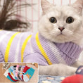 Load image into Gallery viewer, Fashion Winter Cat Sweater
