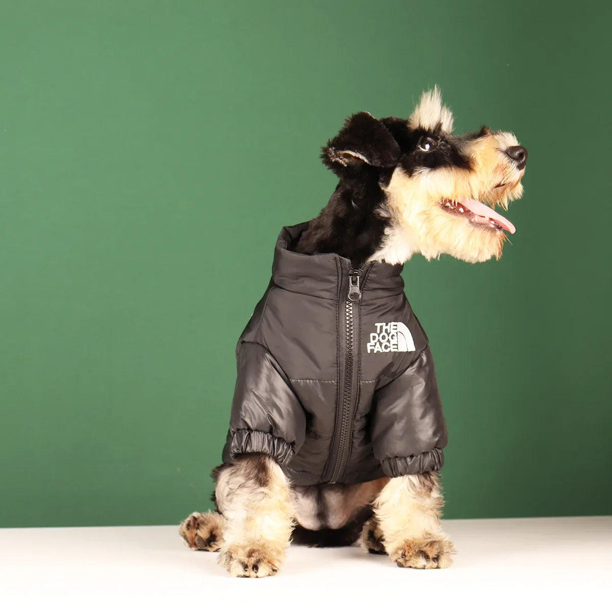 Winter Dog Clothes - Windproof Jacket Outfit