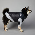 Load image into Gallery viewer, The Dog Face Polyester Down Jacket Dog Vest - Padded Warm And Windproof Dog Jacket
