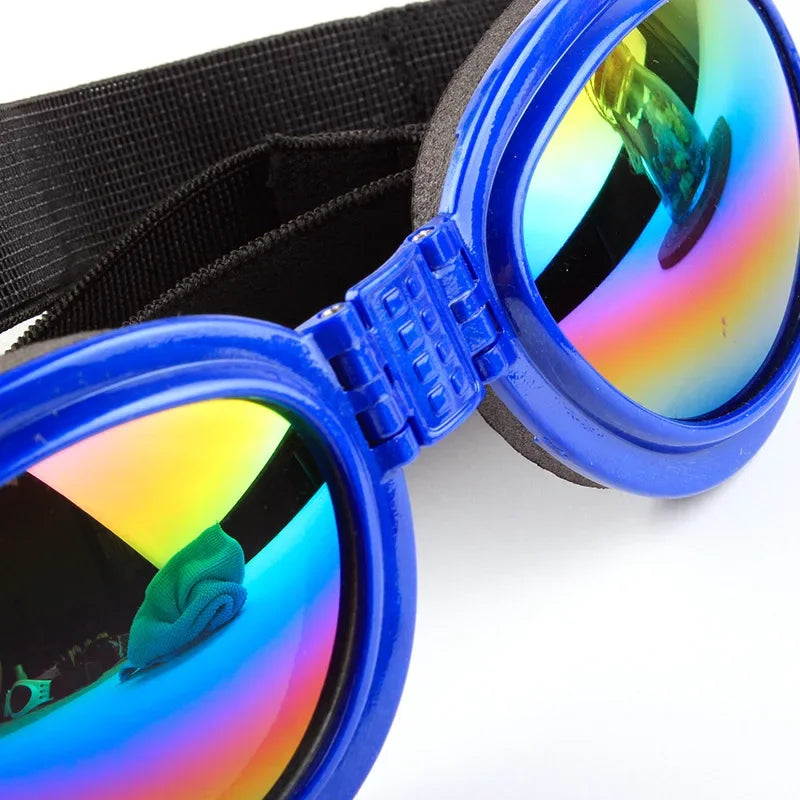 Pet Glasses - UV Protective Lense