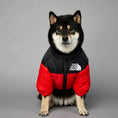 Load image into Gallery viewer, Dog Face Windproof and Rainproof Winter Coat for Dogs
