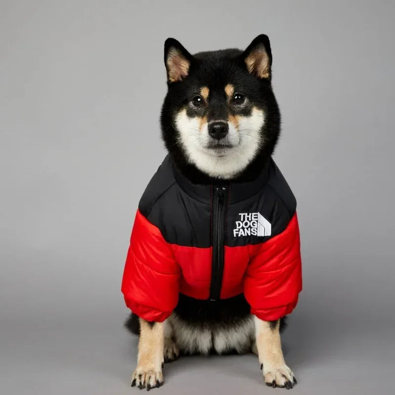 Dog Face Windproof and Rainproof Winter Coat for Dogs