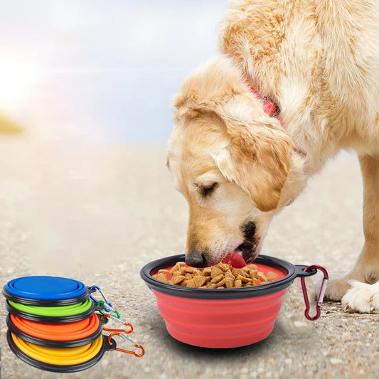 Multi-Color Collapsible Dog Bowl