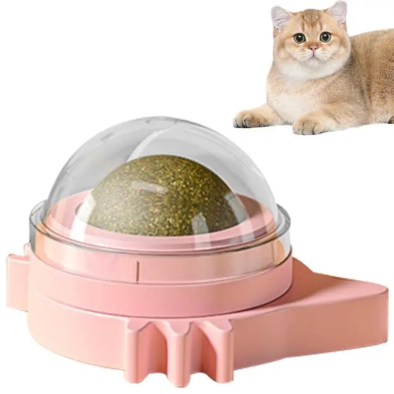 Rotating Catnip Toy Ball -  Attaches to Wall & Cleans Teeth