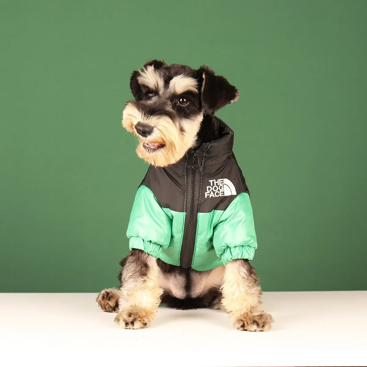 Winter Dog Clothes - Windproof Jacket Outfit