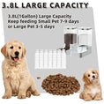 Load image into Gallery viewer, Automatic pet feeder 2.1KG water feeder 3.8L suitable for daily consumption
