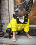 Load image into Gallery viewer, Dog Clothes Raincoat / Windbreaker Jacket
