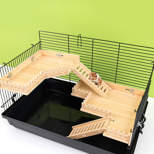 Hamster Playing Platform Bridge