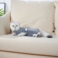 Load image into Gallery viewer, Cat Recovery Suit for Dogs & Cats - Wound Protective Clothes to Prevent Licking
