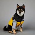 Load image into Gallery viewer, The Dog Face Polyester Down Jacket Dog Vest - Padded Warm And Windproof Dog Jacket
