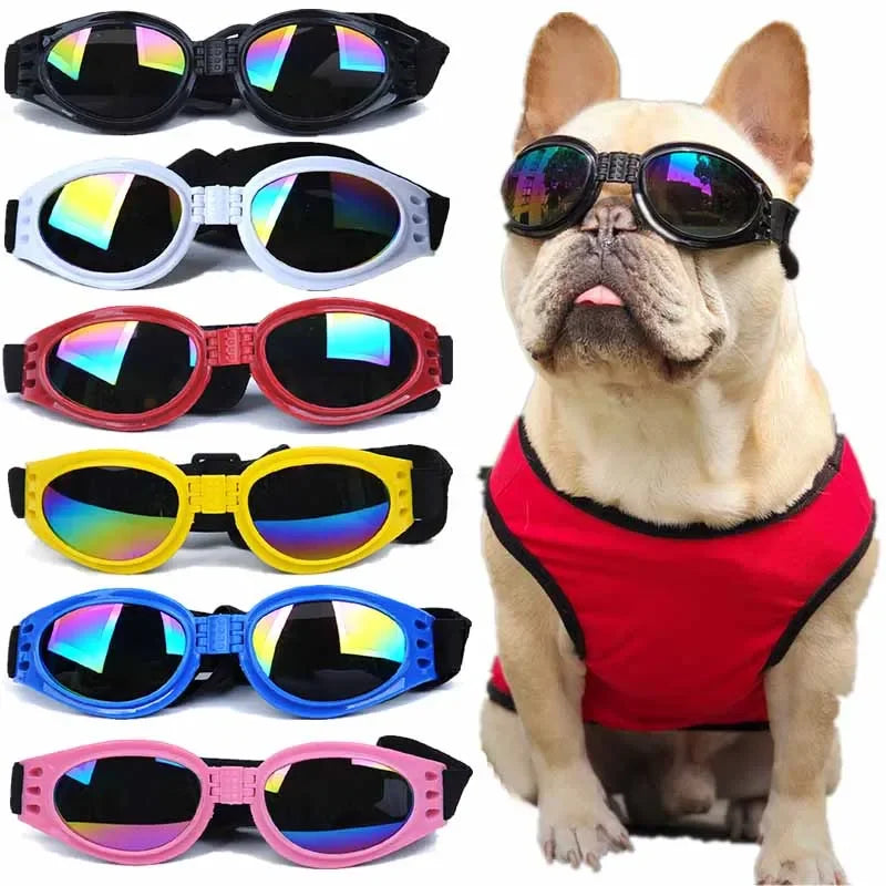 Pet Glasses - UV Protective Lense