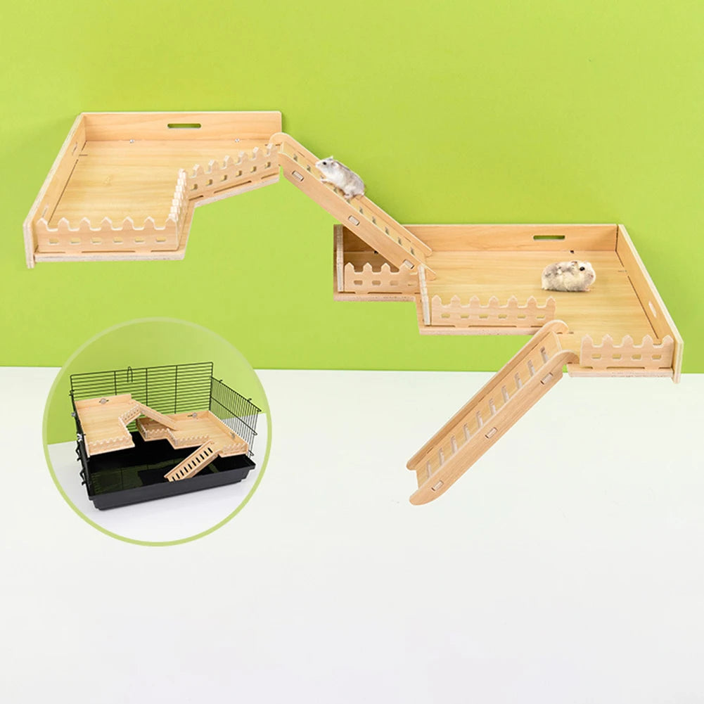 Hamster Playing Platform Bridge