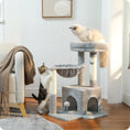 Load image into Gallery viewer, Cat Climbing Frame - Scratching & Playing Post - Sleeping Post
