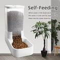 Load image into Gallery viewer, Automatic pet feeder 2.1KG water feeder 3.8L suitable for daily consumption
