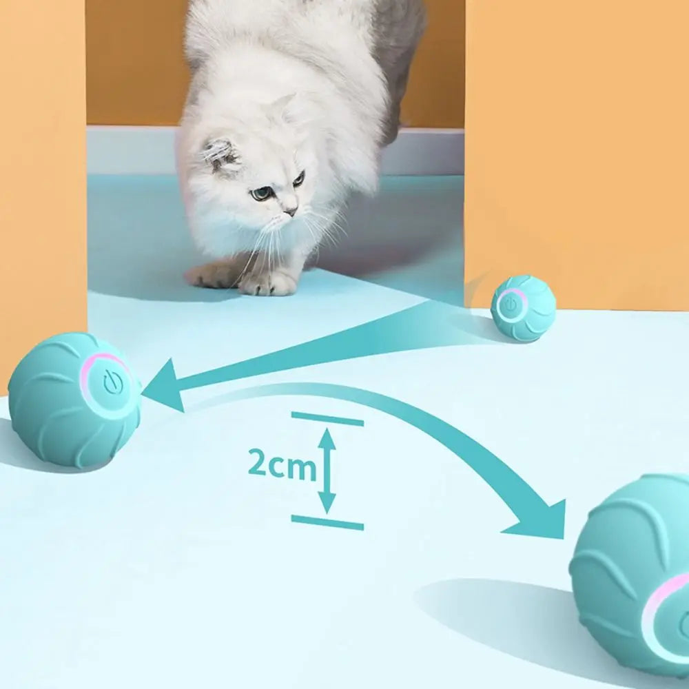 Electric cat toy - Rechargeable & Easy Use