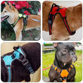 Load image into Gallery viewer, Dog Harness With Handle - No Pull Harness - Reflective Vest
