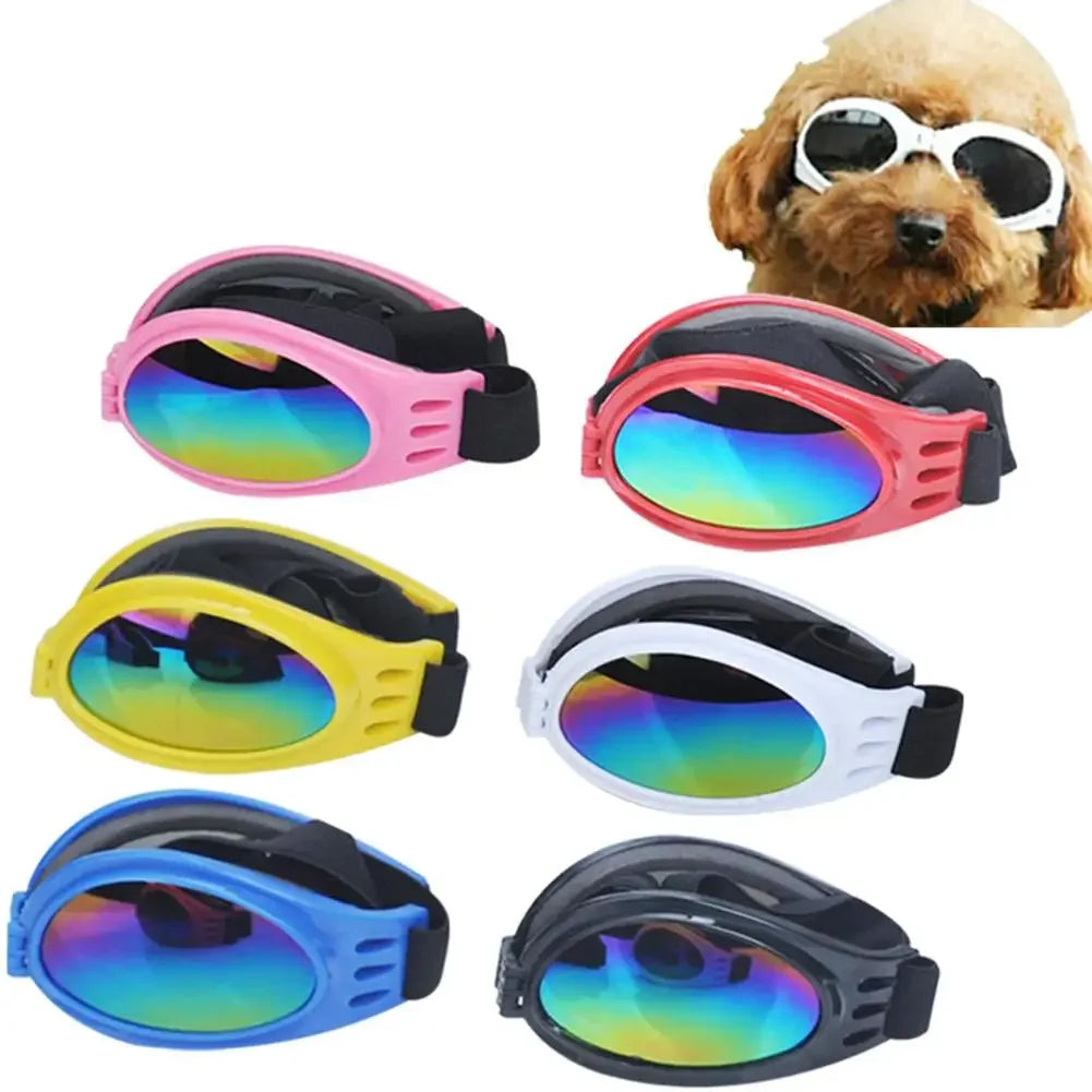 Pet Glasses - UV Protective Lense