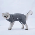 Load image into Gallery viewer, Cat Recovery Suit for Dogs & Cats - Wound Protective Clothes to Prevent Licking
