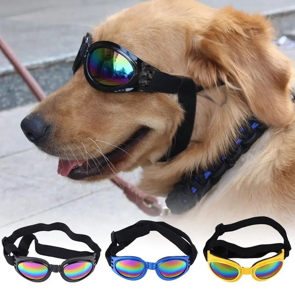 Pet Glasses - UV Protective Lense