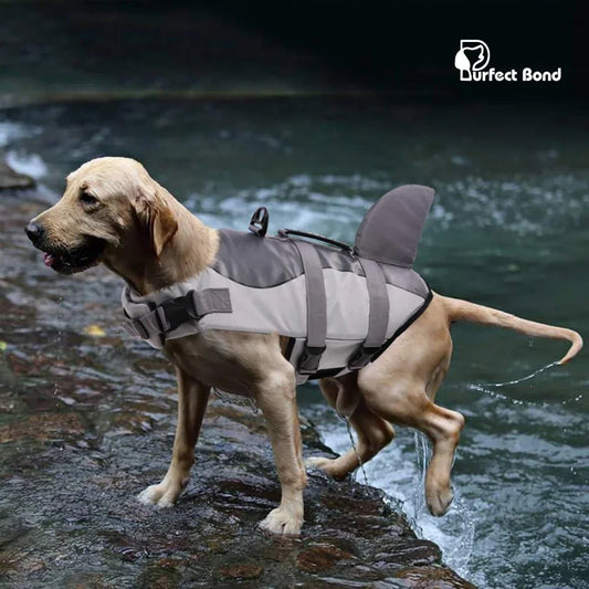 Dog Life Jacket - Convenient Handle & Adjustable Straps